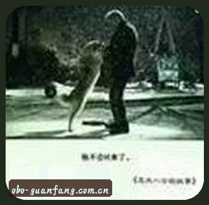 陈静