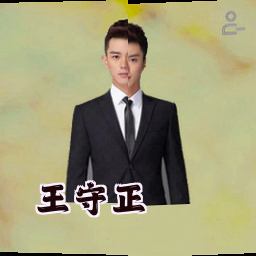 王守正